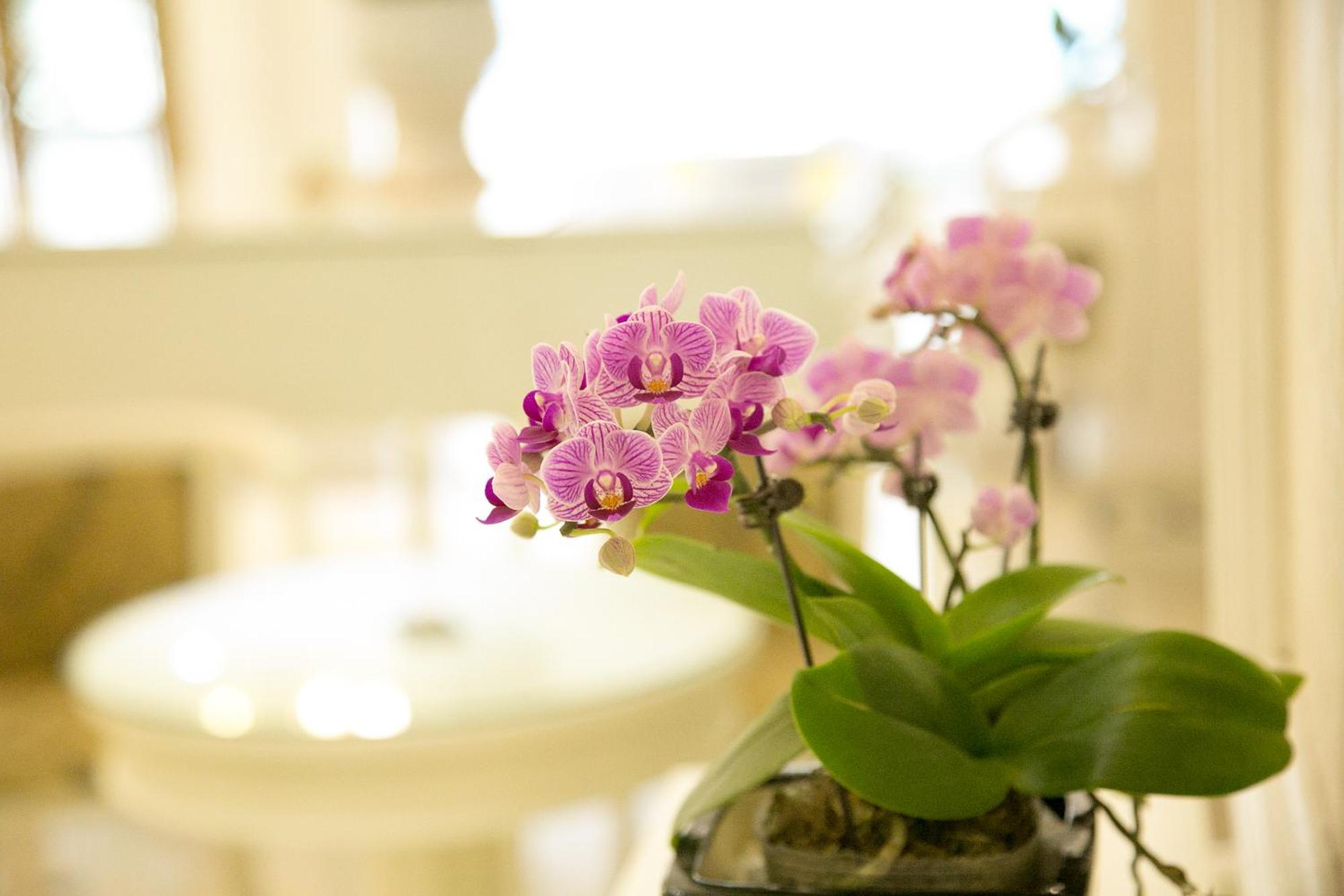 Citybay Palace Ha Long Hotel Kültér fotó