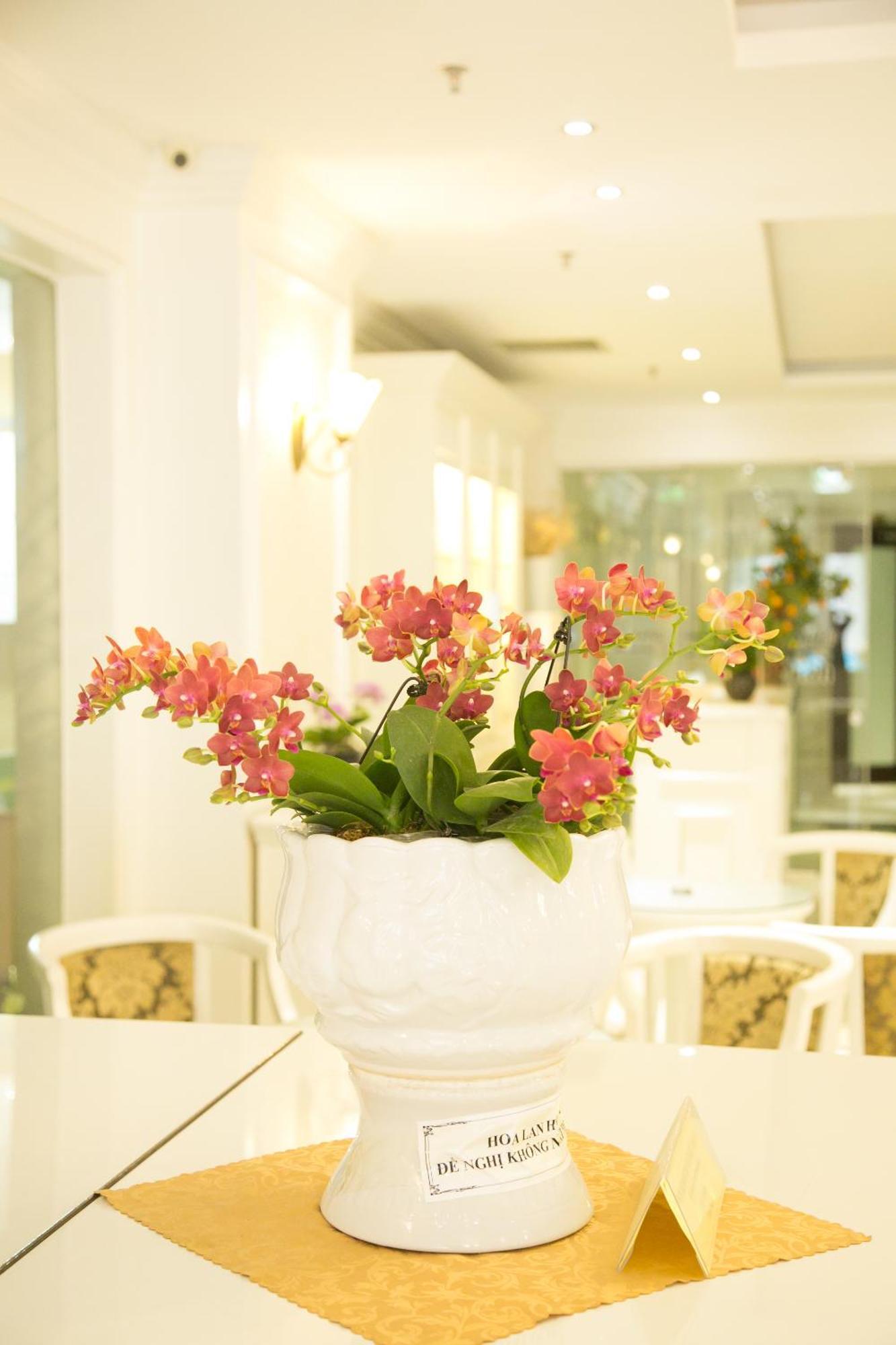 Citybay Palace Ha Long Hotel Kültér fotó